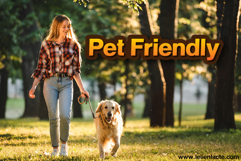 Pet Friendly สถานที่ที่ถ้าคุณบอกว่า คุณเป็นคนที่รักน้องหมาเหมือนลูก ต้องรู้จักแน่ๆ